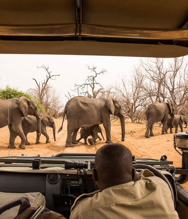 Chobe-National-Park