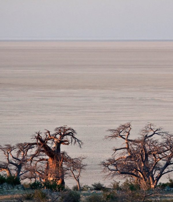 Makgadikgadi-Pans