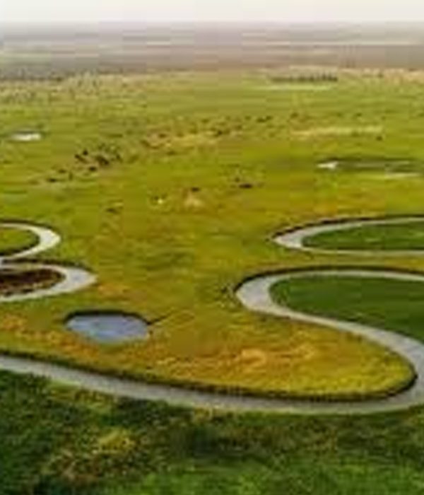 Okavango-Delta